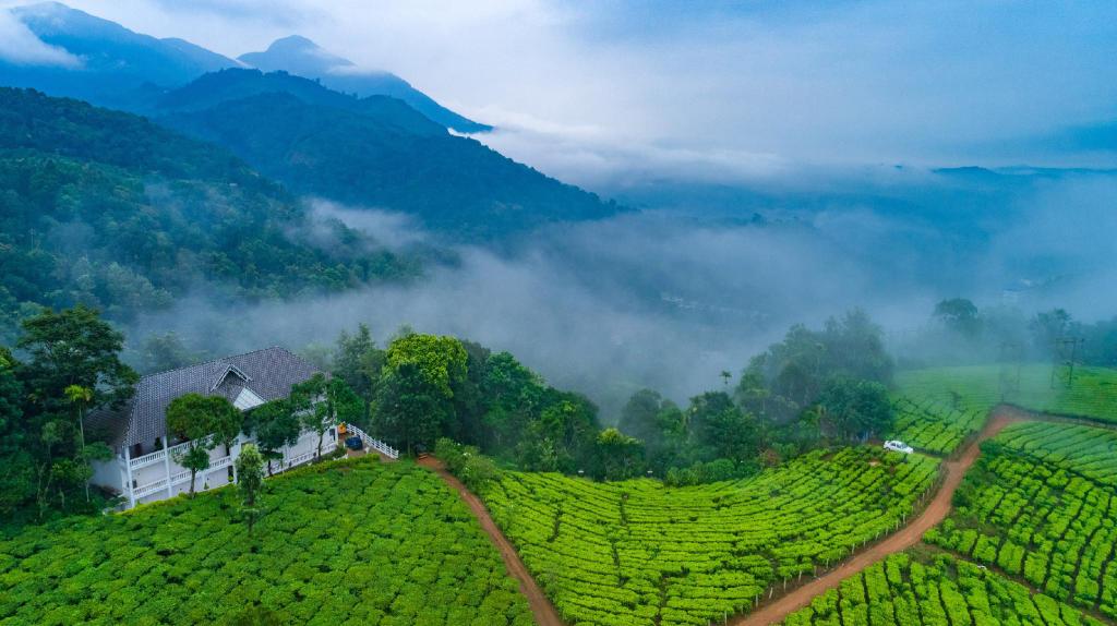 Munnar Tour Packages