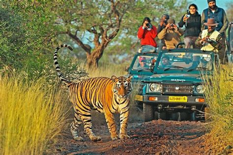 Golden Triangle With Ranthambore