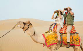 Rajasthan Camel Safari Tour