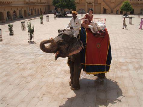 Castle Tour Of Rajasthan