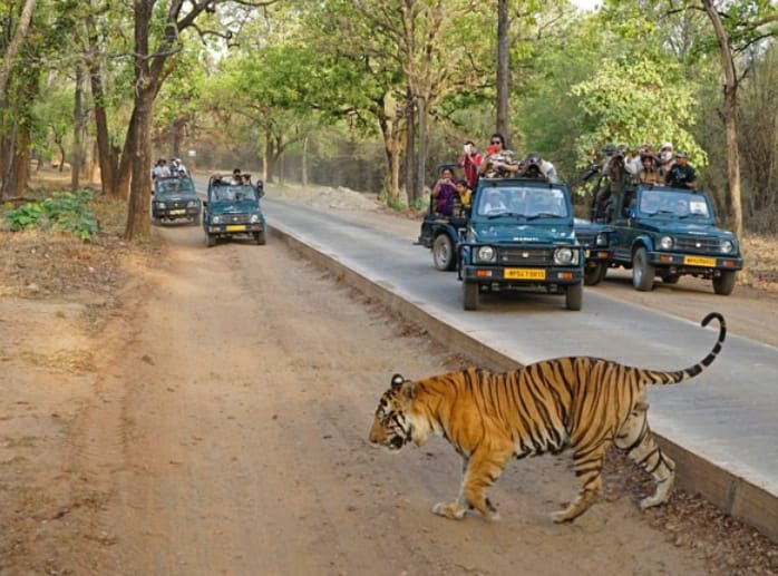 Short Escape Sariska Tour