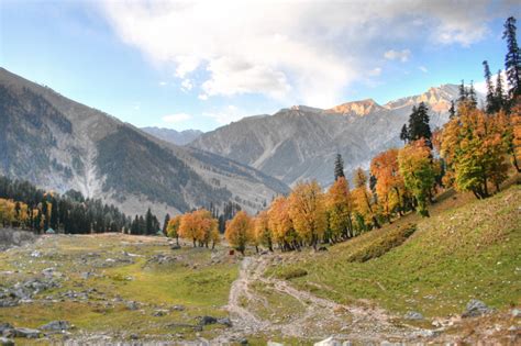 Glimpse Of Kashmir