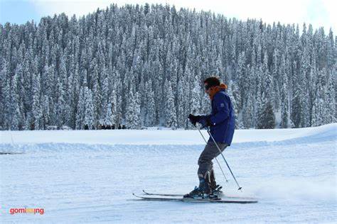 Gulmarg Skiing Package