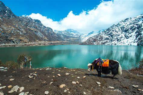 Sikkim Darjeeling Tour