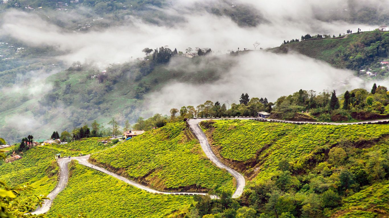 Darjeeling Gangtok Honeymoon Package