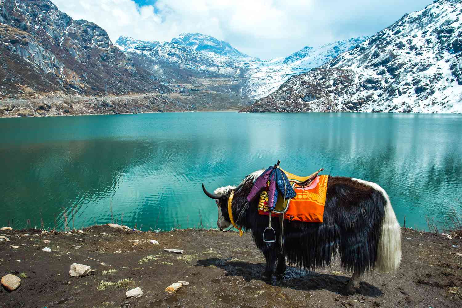 North Sikkim Tour