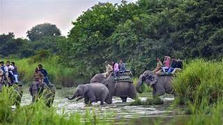 Assam Meghalaya Tour