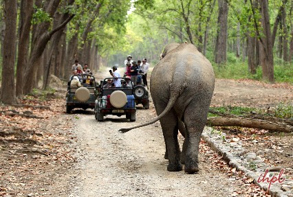 Angling Tour In Uttarakhand