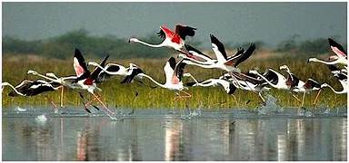 Golden Triangle Tour With Ranthambore & Bharatpur