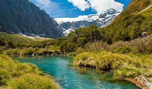 New Zealand South Island Tour