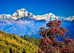 Nepal Bhutan Tibet Tour